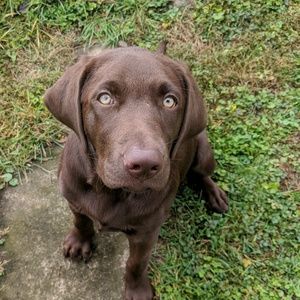 Meet your Posher, Aheser